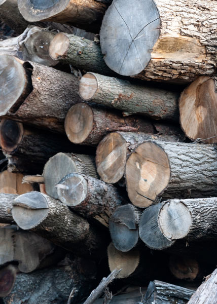 Affordable Log Supply Near Delaware County